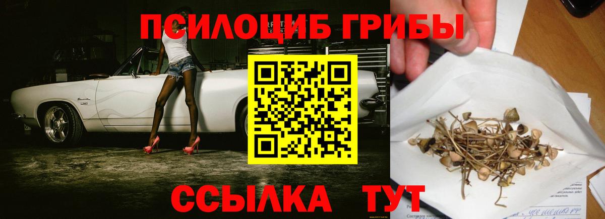 Псилоцибиновые грибы прущие грибы  Вход с VPN  Кандалакша 